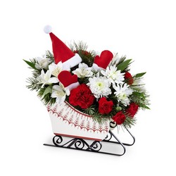 The FTD Dashing Through the Snow Bouquet from Flowers by Ramon of Lawton, OK